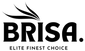 Brisa